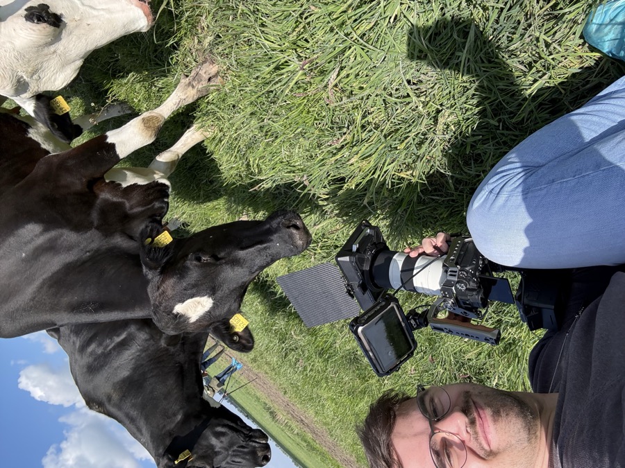 BTS 20